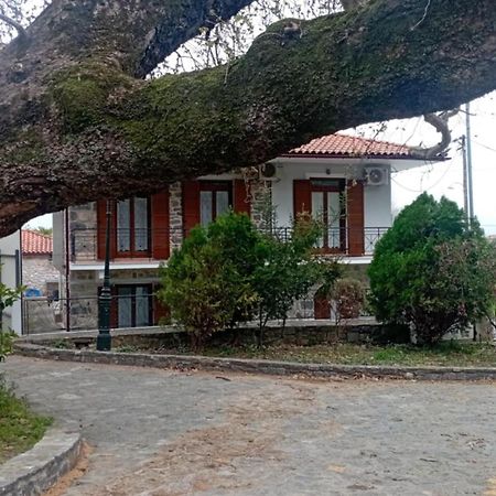 Villa Iris Mystras Exterior foto