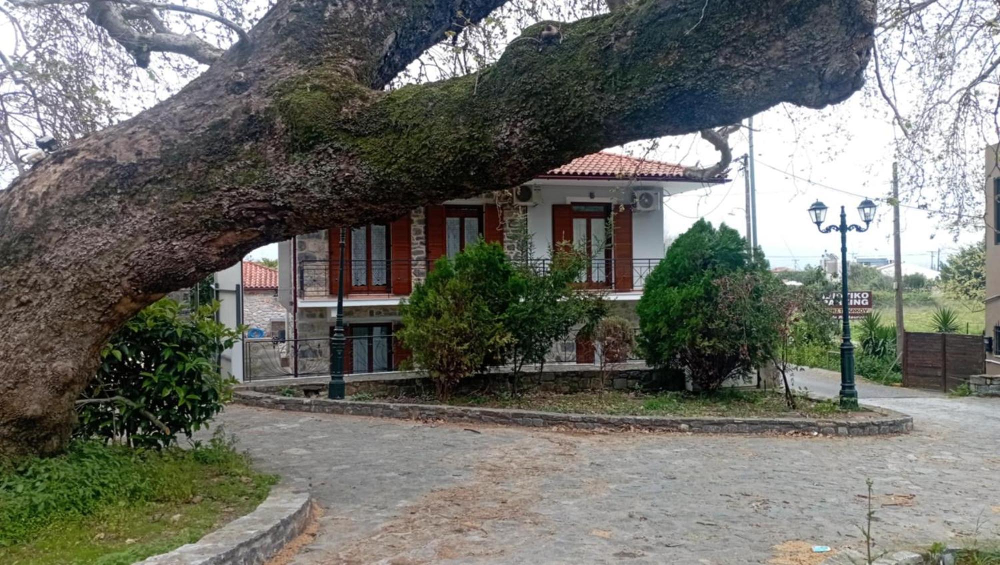 Villa Iris Mystras Exterior foto