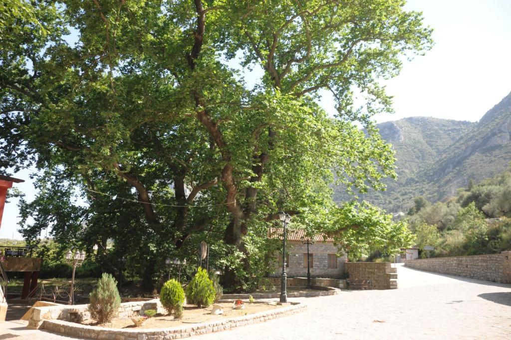 Villa Iris Mystras Exterior foto